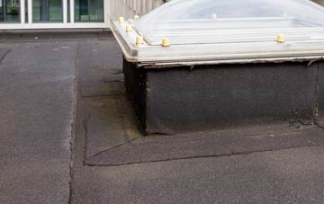 disadvantages of Newborough flat roofs