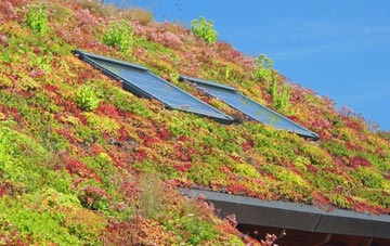 Newborough living roof systems