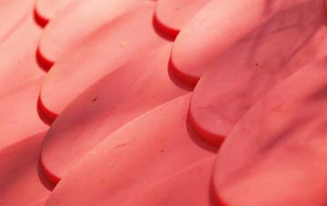 Newborough plastic roof costs