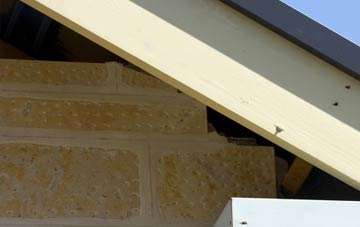 soffit repair Newborough
